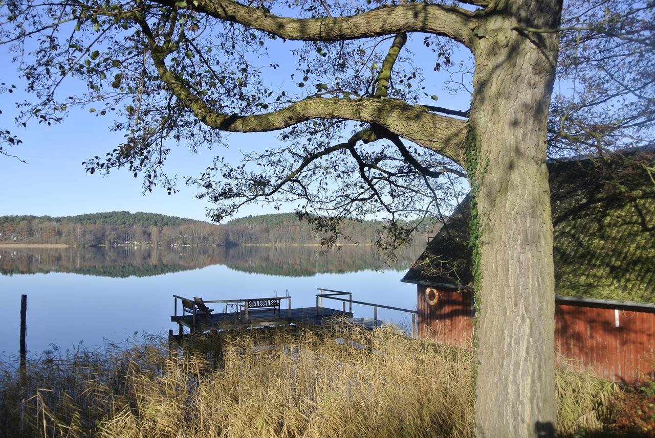 Seehotel Lindenhof Lychen Esterno foto